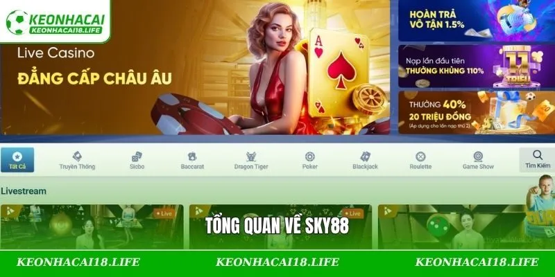 Khái quát về hệ thống uy tín hàng đầu